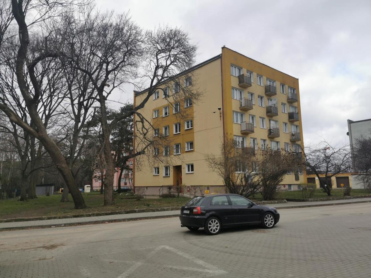 Mieszkanie Brzezno Przy Plazy Danzica Esterno foto